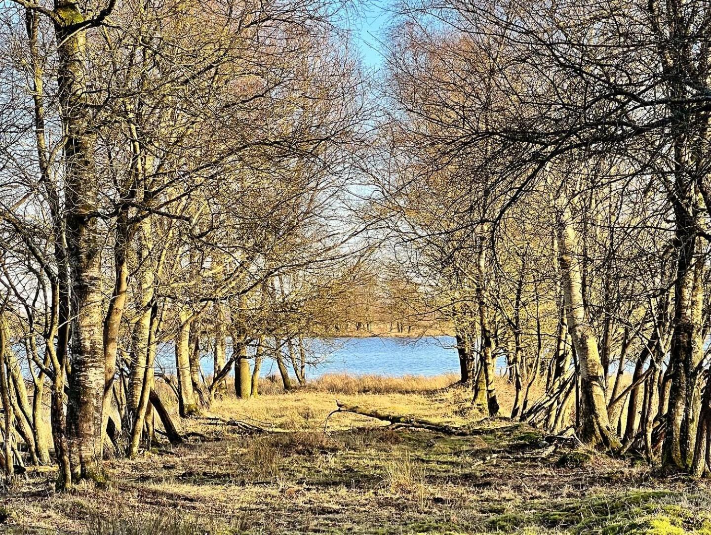 Natuurhuisje Meppen ภายนอก รูปภาพ