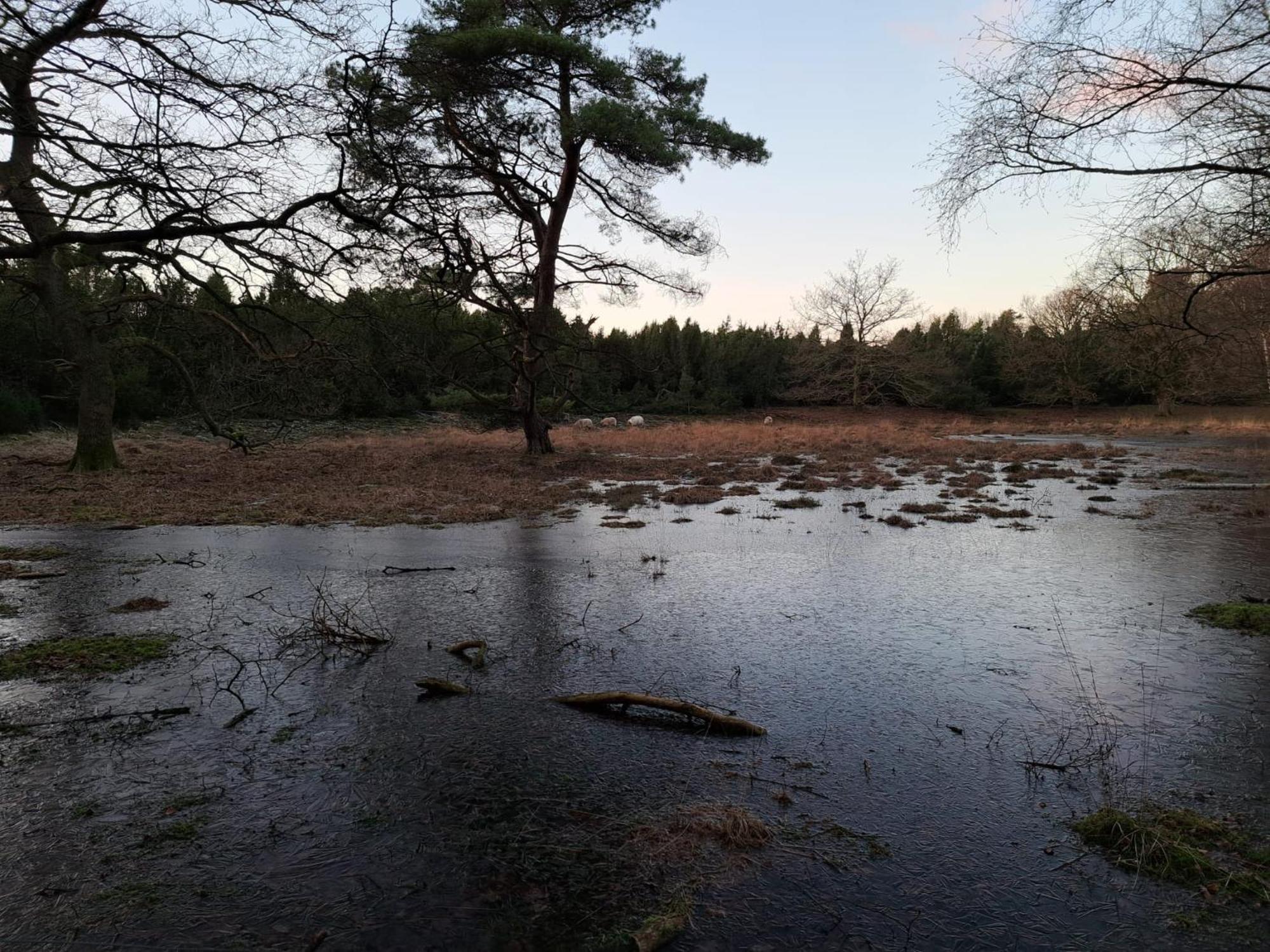 Natuurhuisje Meppen ภายนอก รูปภาพ