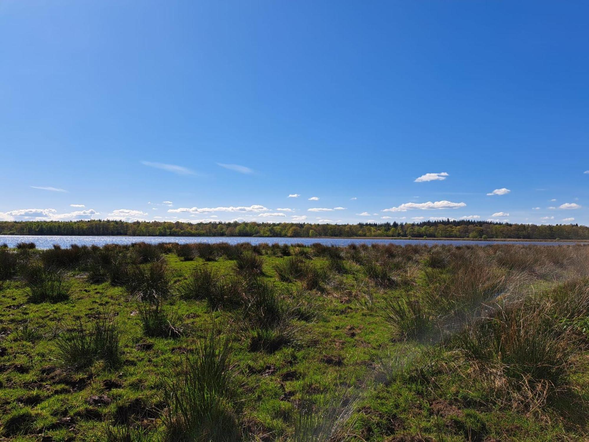 Natuurhuisje Meppen ภายนอก รูปภาพ
