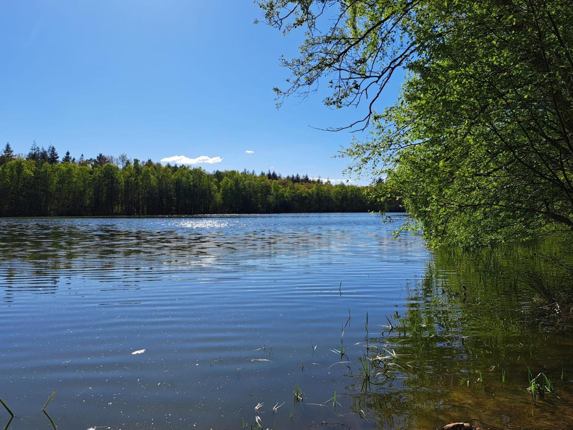 Natuurhuisje Meppen ภายนอก รูปภาพ
